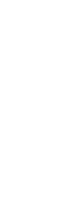 Czech Republic Denmark Dominica El Salvador Fiji Finland France Gambia Germany Guatemala Guinea-Bissau Honduras Hong Kong Ireland Israel Italy Malta Mexico New Zealand